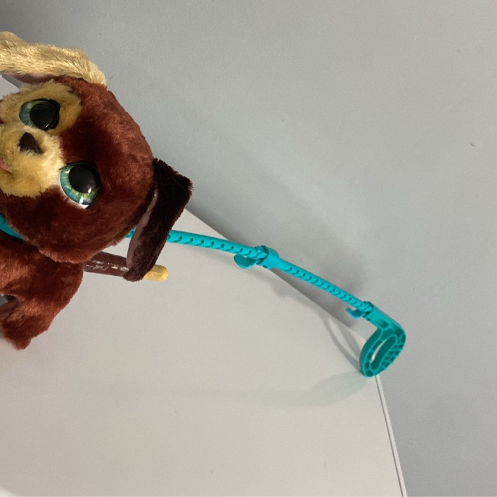 Brown and Blue Plush Dog Toy